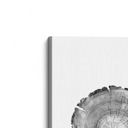 [Color:Stretched Canvas], Picture of the corner of the art