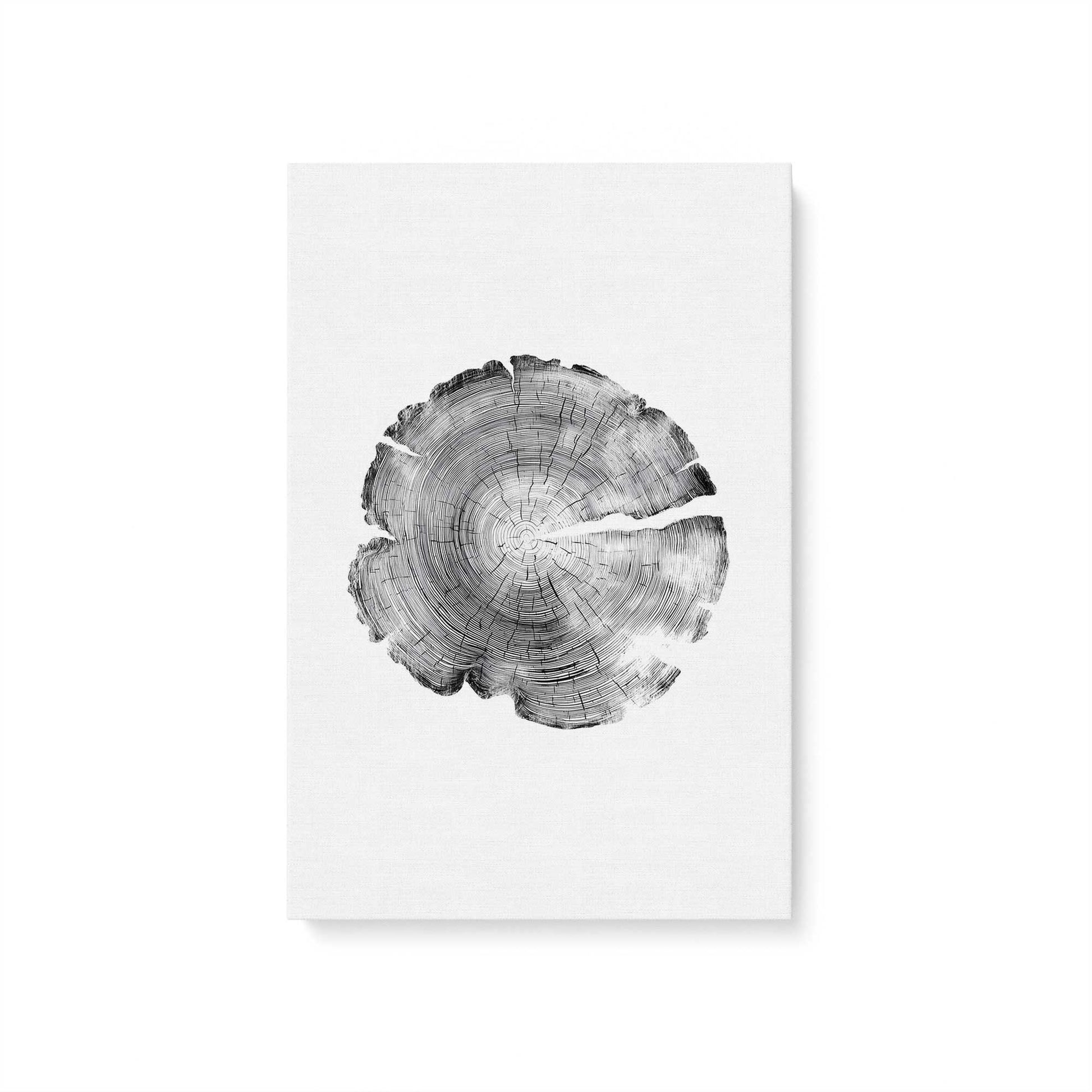 [Color:Stretched Canvas], Picture of art