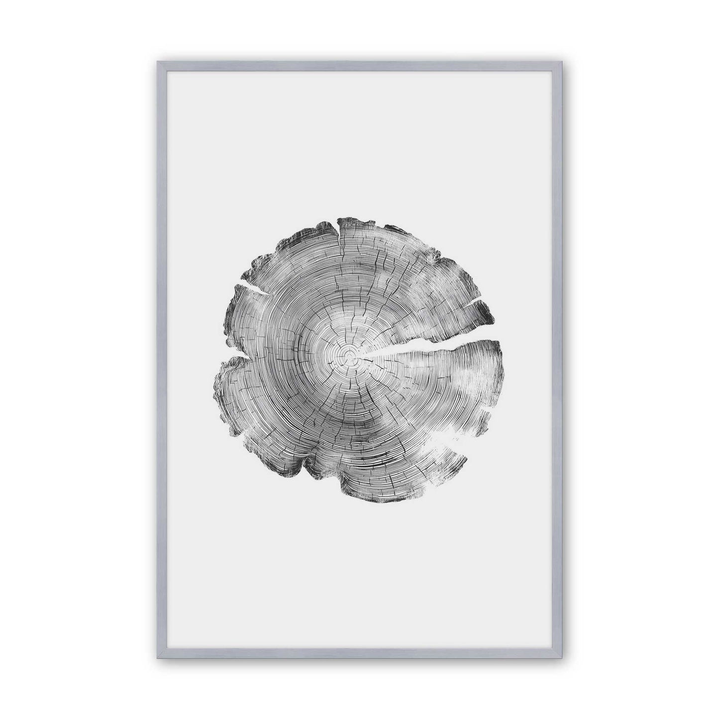 [Color:Polished Chrome], Picture of art in a Polished Chrome frame