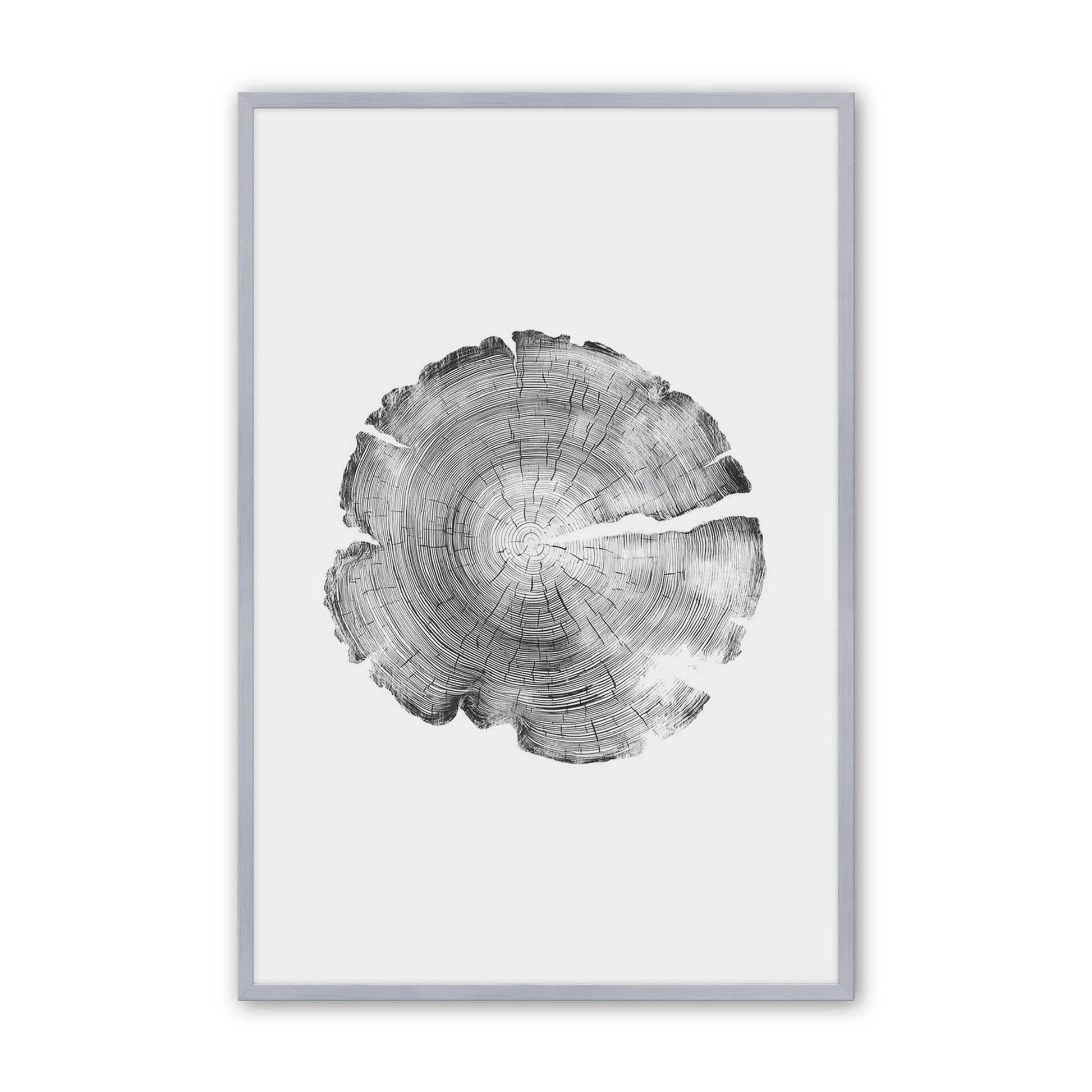 [Color:Polished Chrome], Picture of art in a Polished Chrome frame