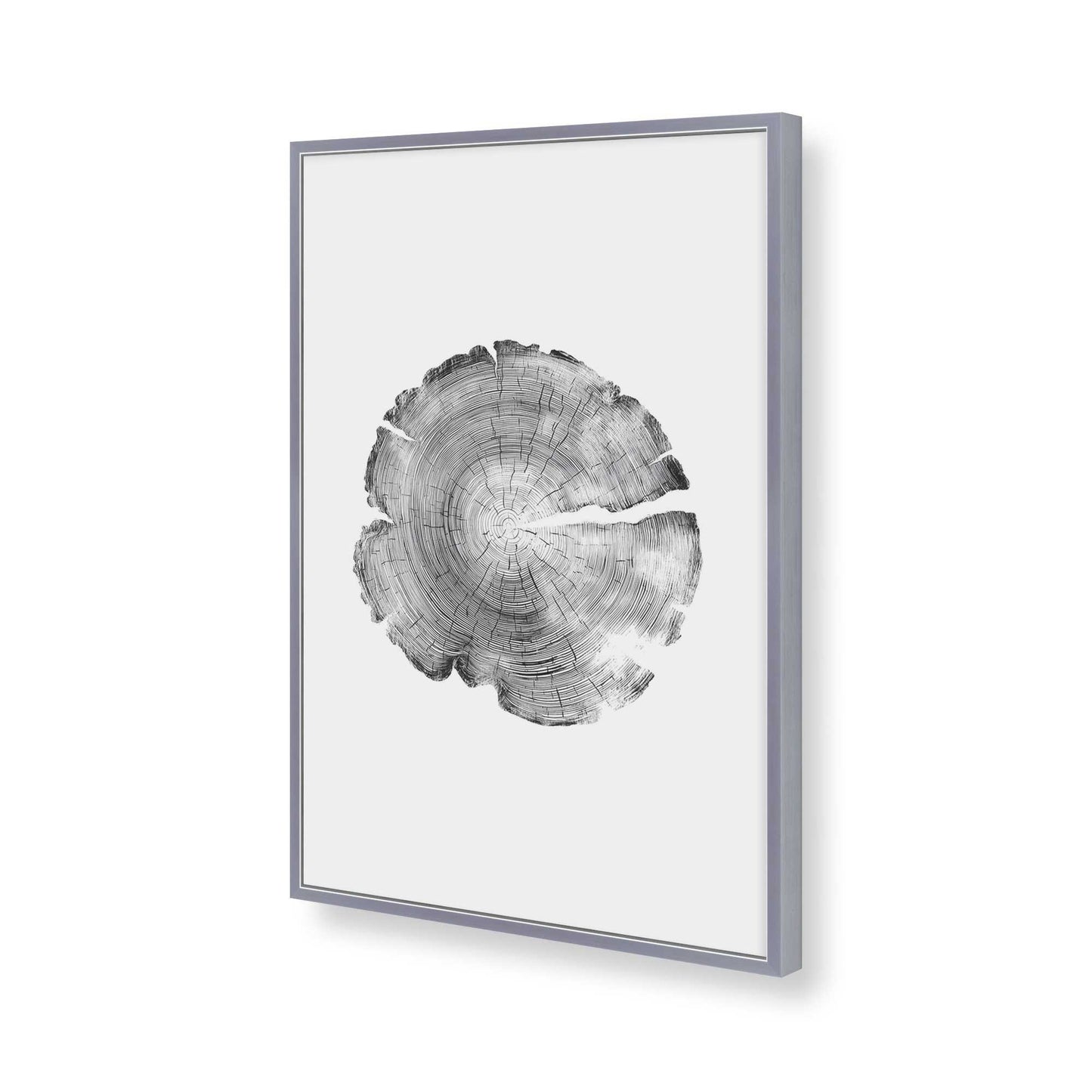 [Color:Polished Chrome], Picture of art in a Polished Chrome frame of the corner
