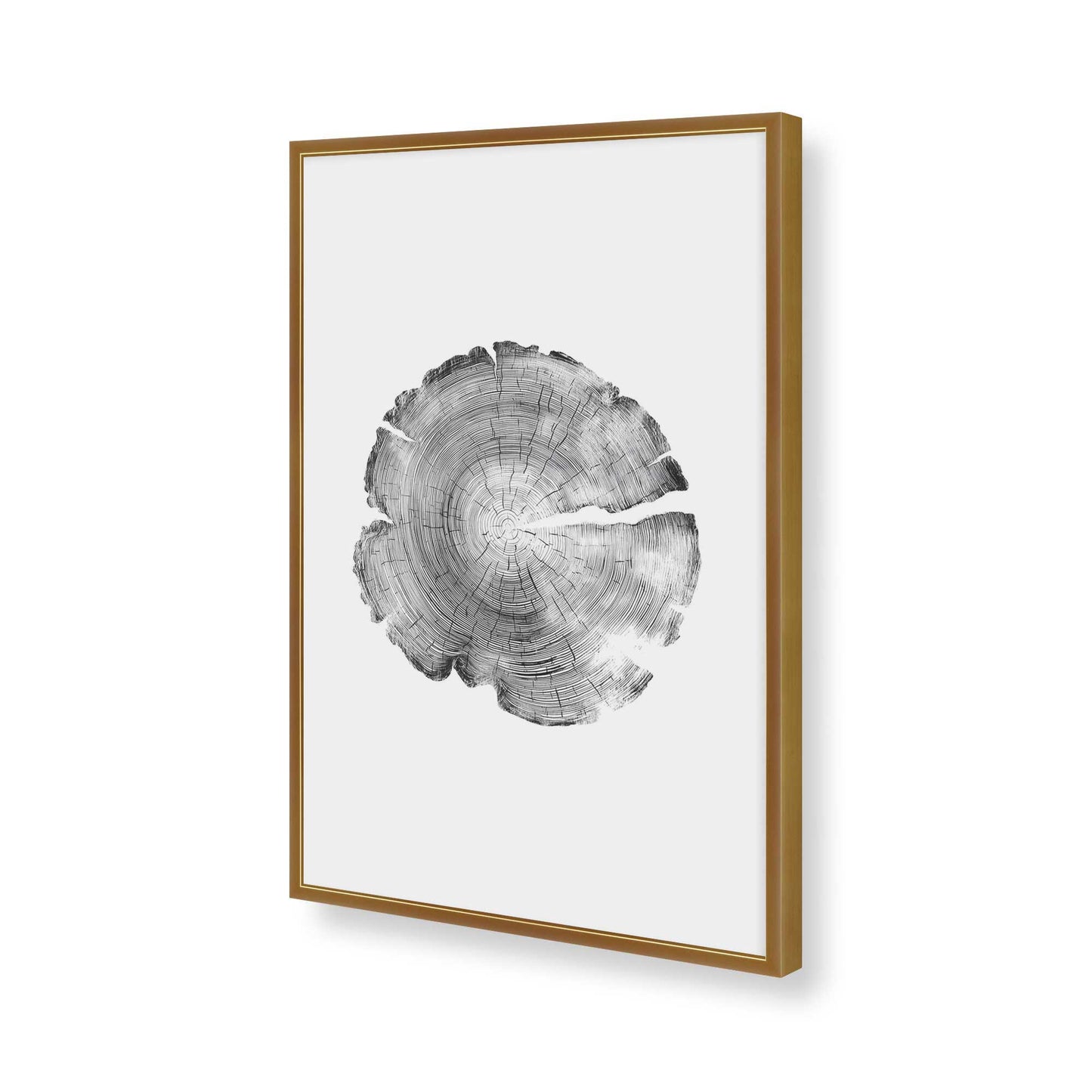 [Color:Polished Gold], Picture of art in a Polished Gold frame of the corner