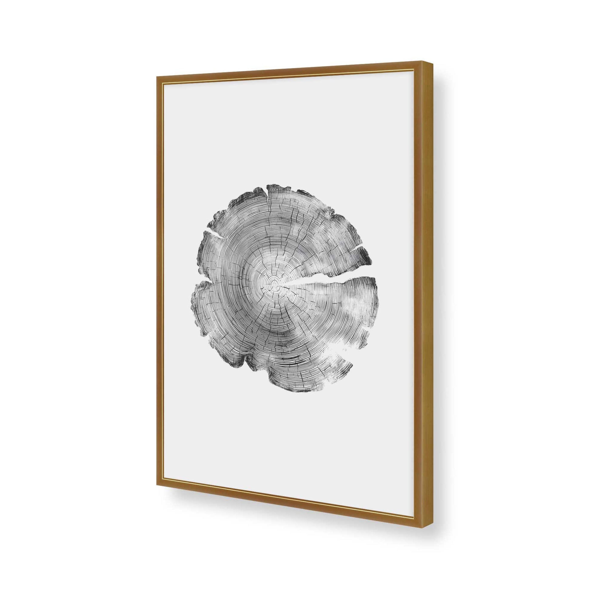 [Color:Polished Gold], Picture of art in a Polished Gold frame of the corner
