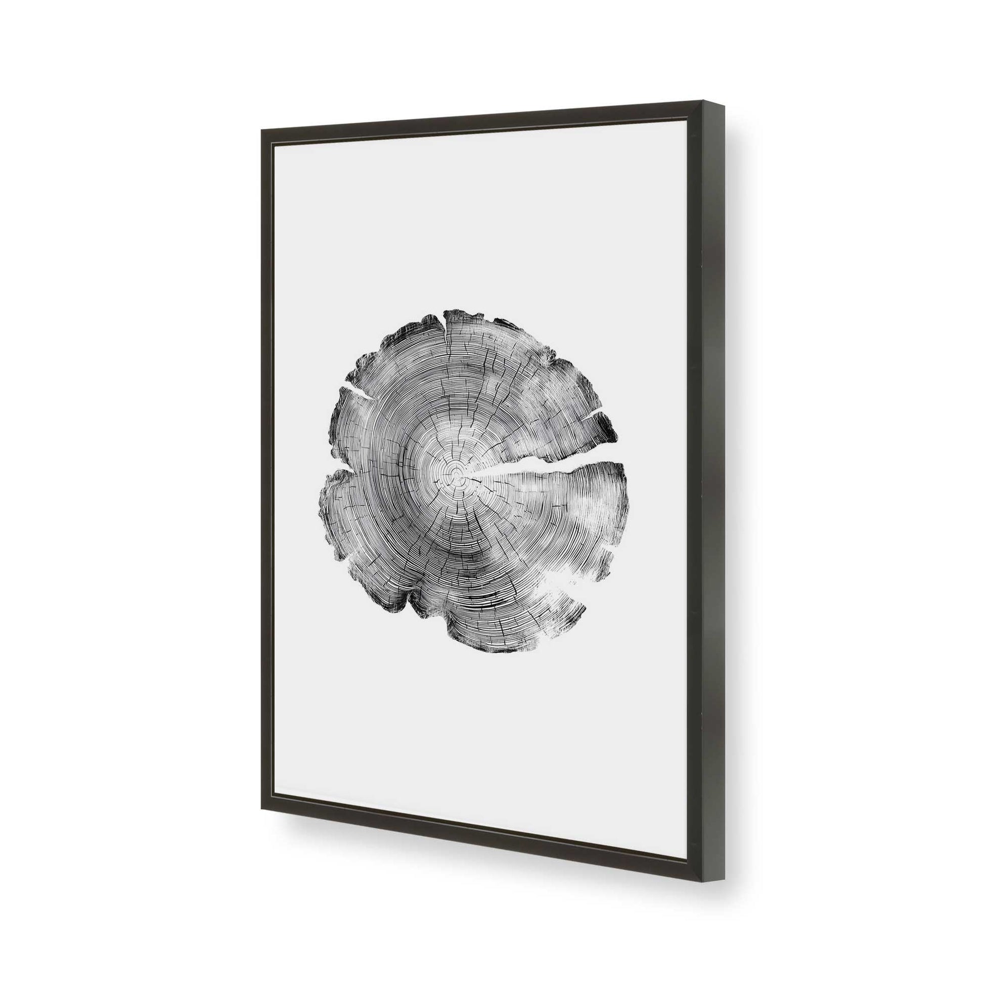 [Color:Satin Black], Picture of art in a Satin Black frame of the corner