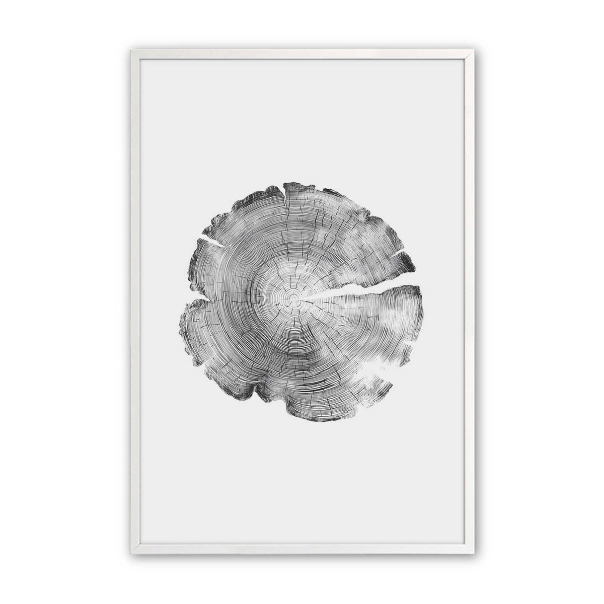 [Color:Opaque White], Picture of art in an Opaque White frame