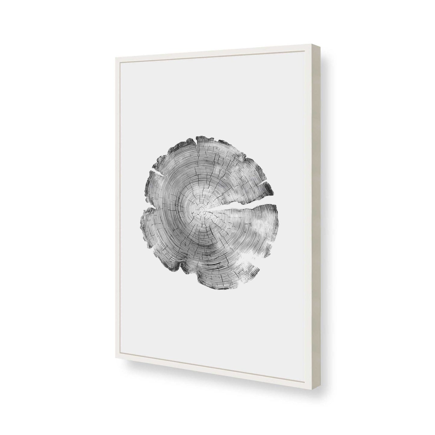 [Color:Opaque White], Picture of art in a Opaque White frame of the corner