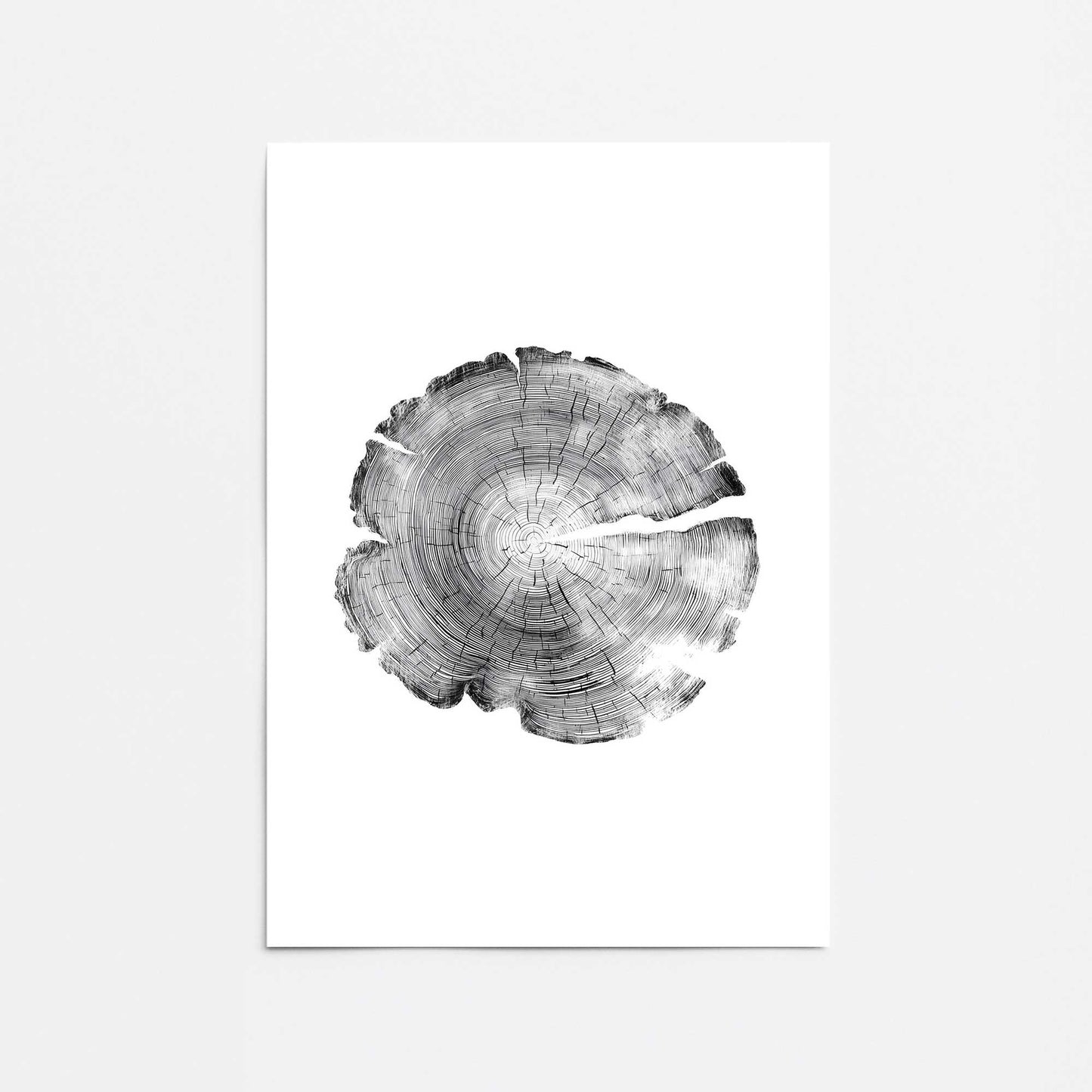 [Color:Rolled Print], Picture of close up of art