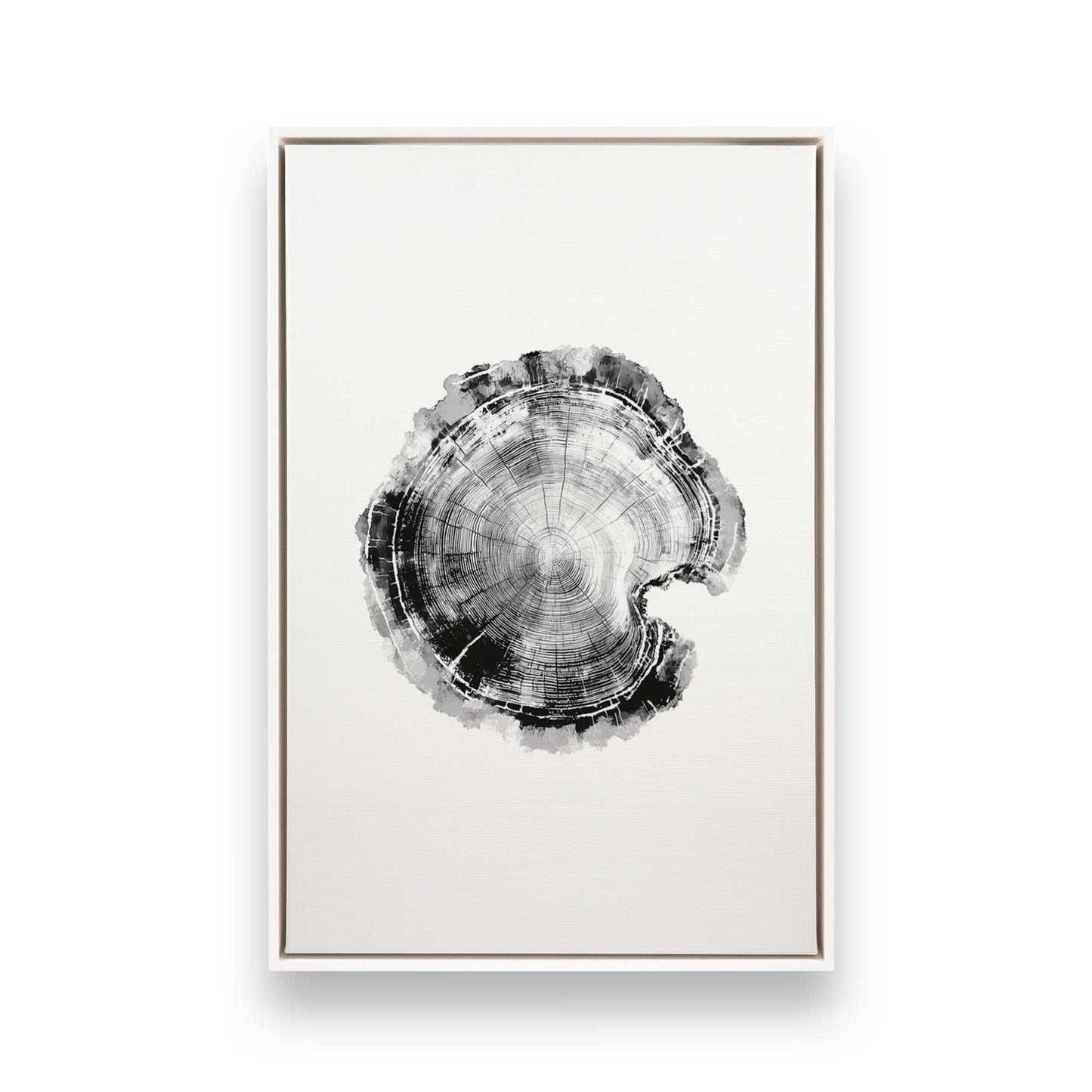 [Color:Opaque White], Picture of art in a White frame