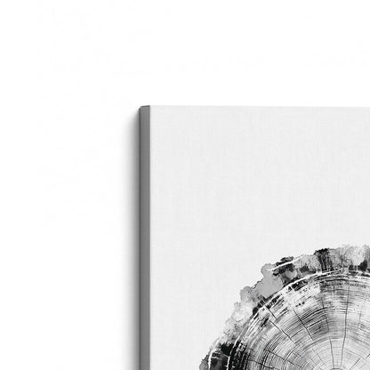 [Color:Stretched Canvas], Picture of the corner of the art