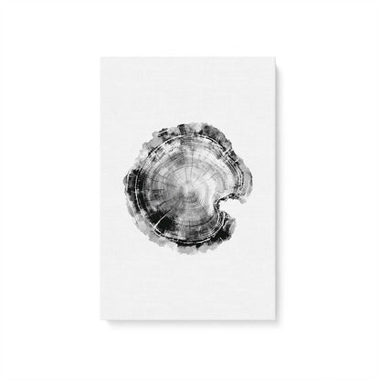 [Color:Stretched Canvas], Picture of art