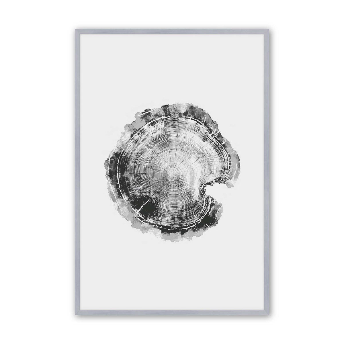 [Color:Polished Chrome], Picture of art in a Polished Chrome frame