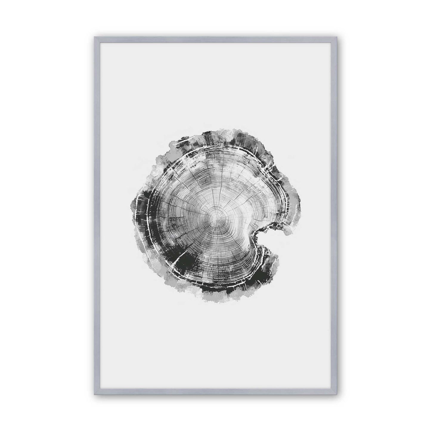 [Color:Polished Chrome], Picture of art in a Polished Chrome frame