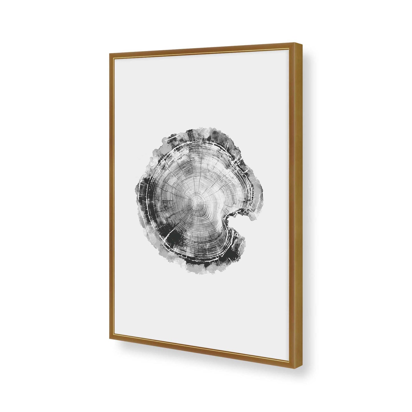 [Color:Polished Gold], Picture of art in a Polished Gold frame of the corner