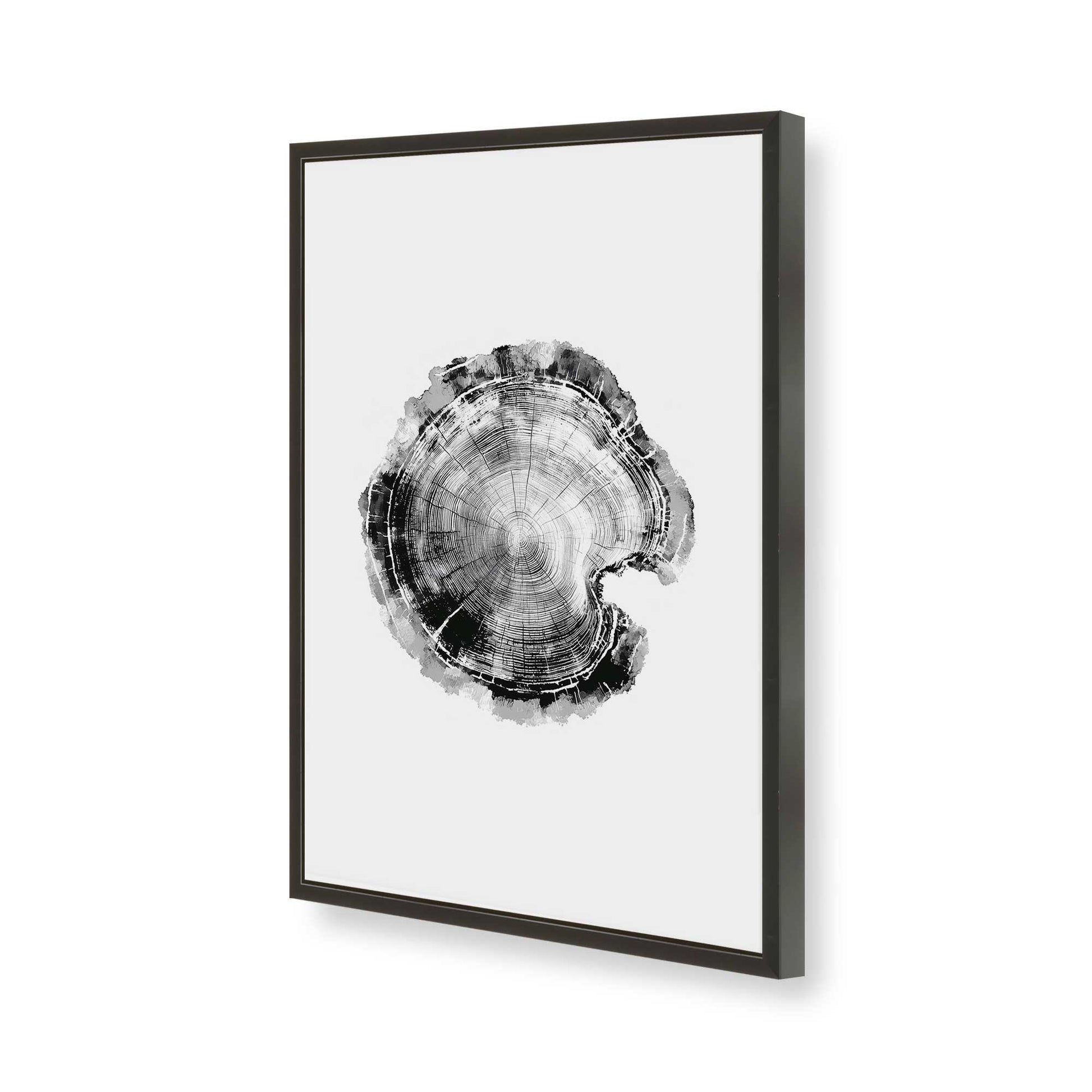 [Color:Satin Black], Picture of art in a Satin Black frame of the corner