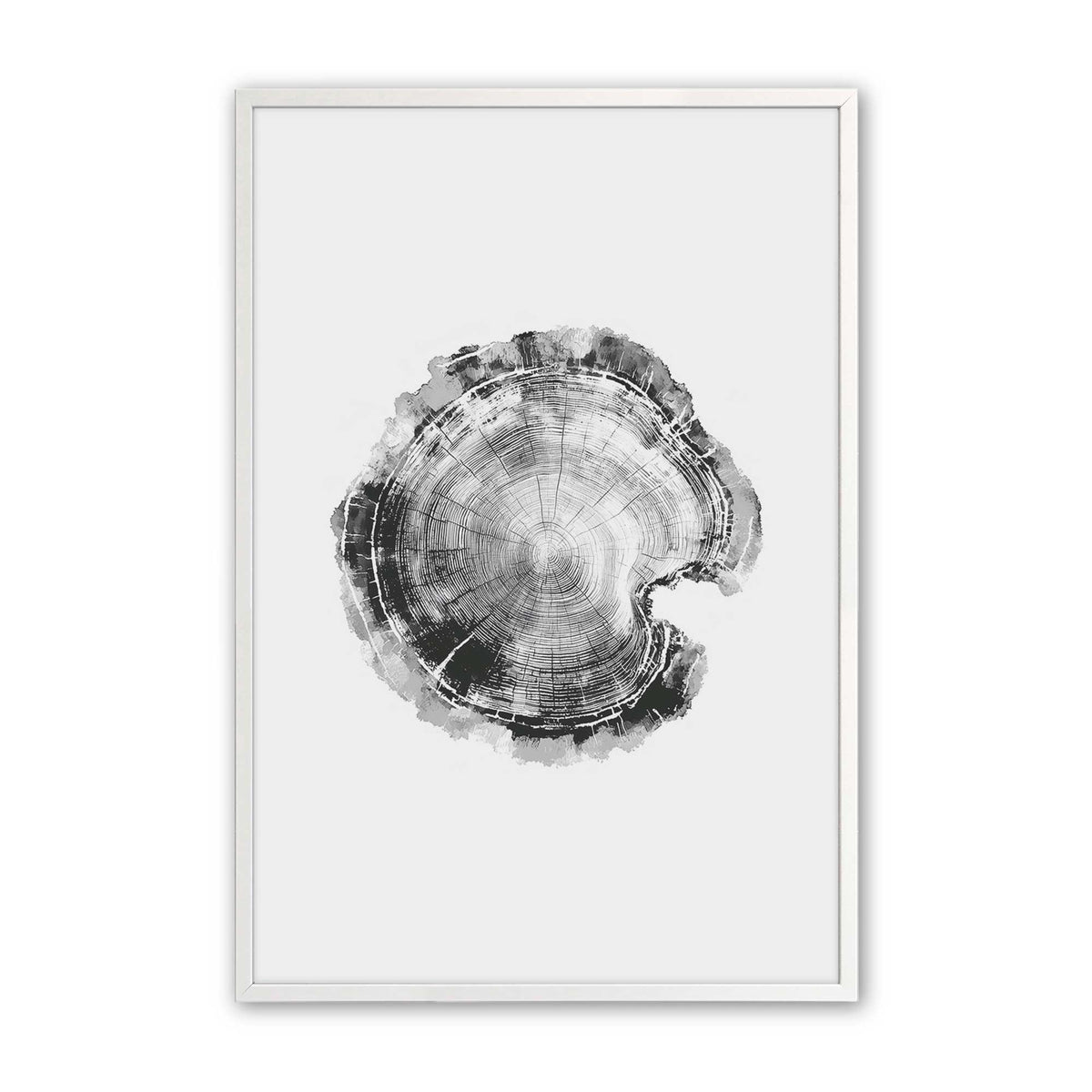 [Color:Opaque White], Picture of art in an Opaque White frame