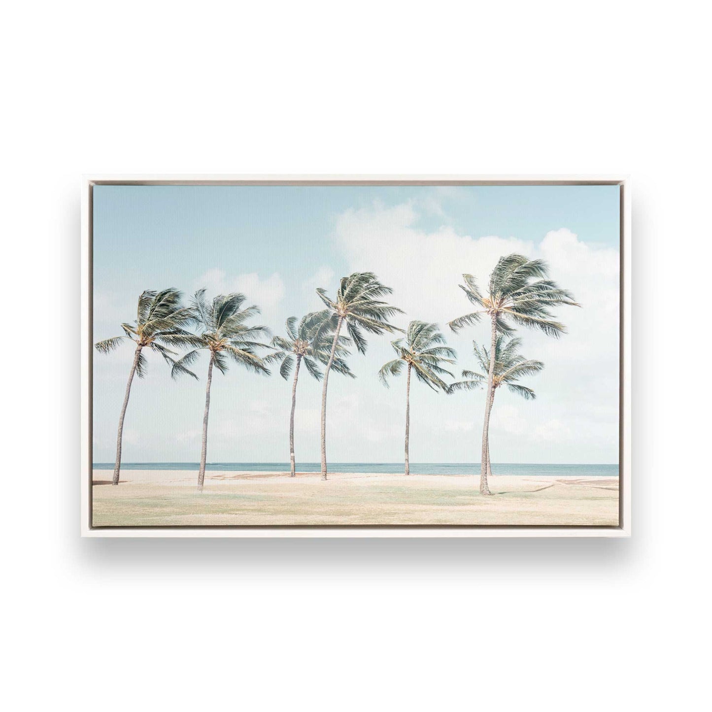 [Color:Opaque White], Picture of art in a White frame