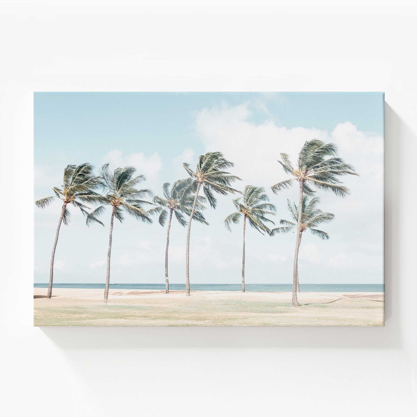 [Color:Stretched Canvas], Picture of art