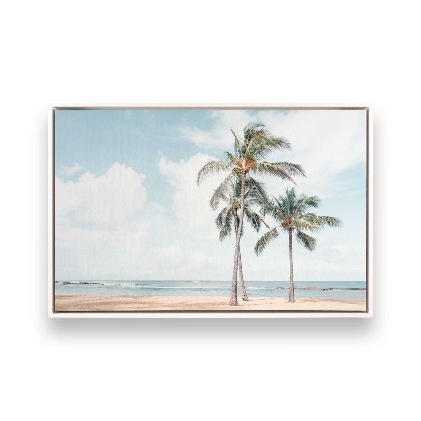 [Color:Opaque White], Picture of art in a White frame