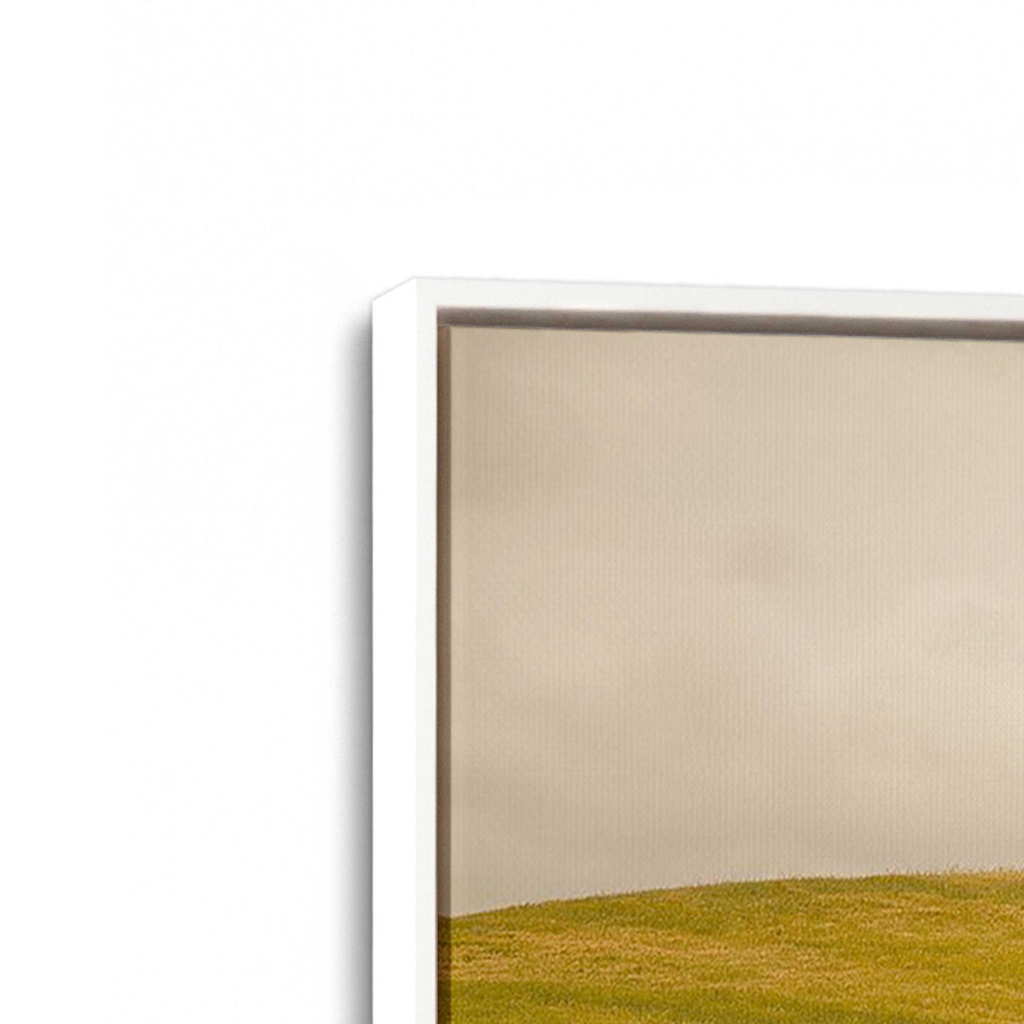 [Color:White], Picture of art in a White frame at an angle