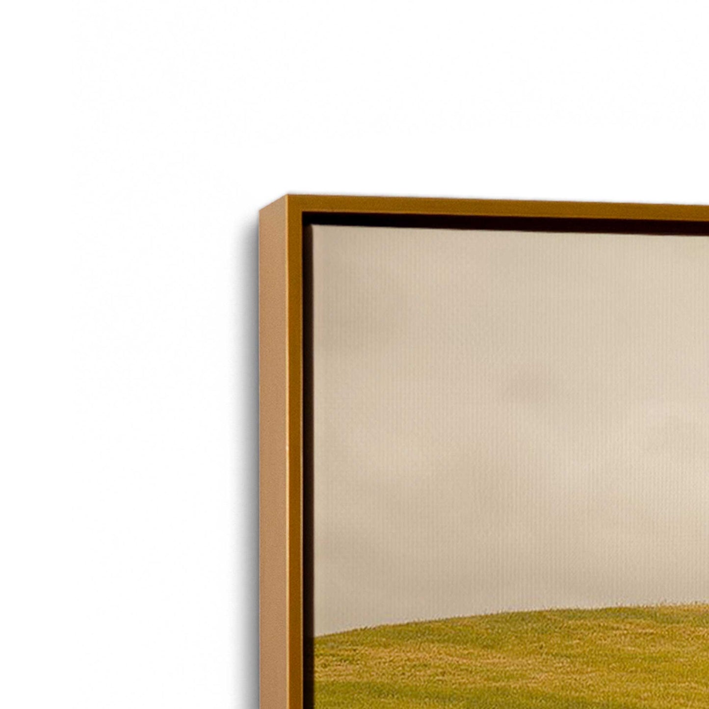 [Color:Polished Gold], Picture of art in a Polished Gold frame at an angle