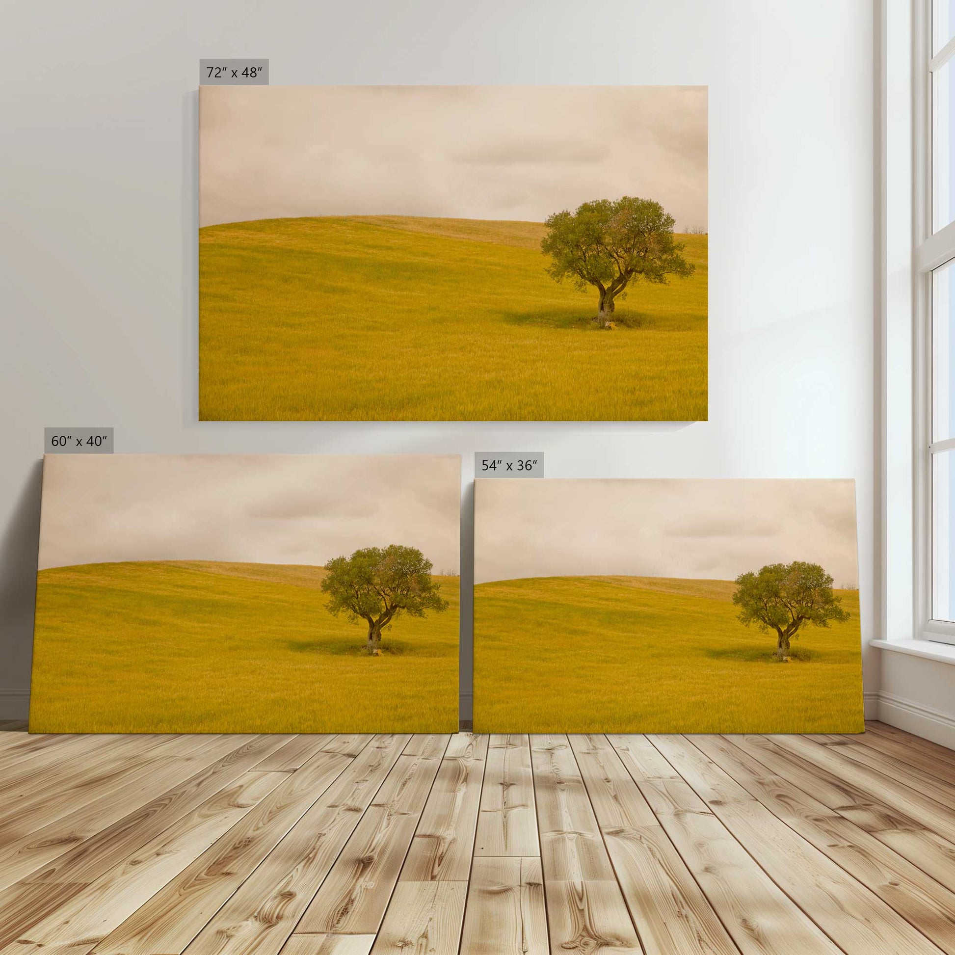 [Color:Stretched Canvas], Image showing the size comparisons