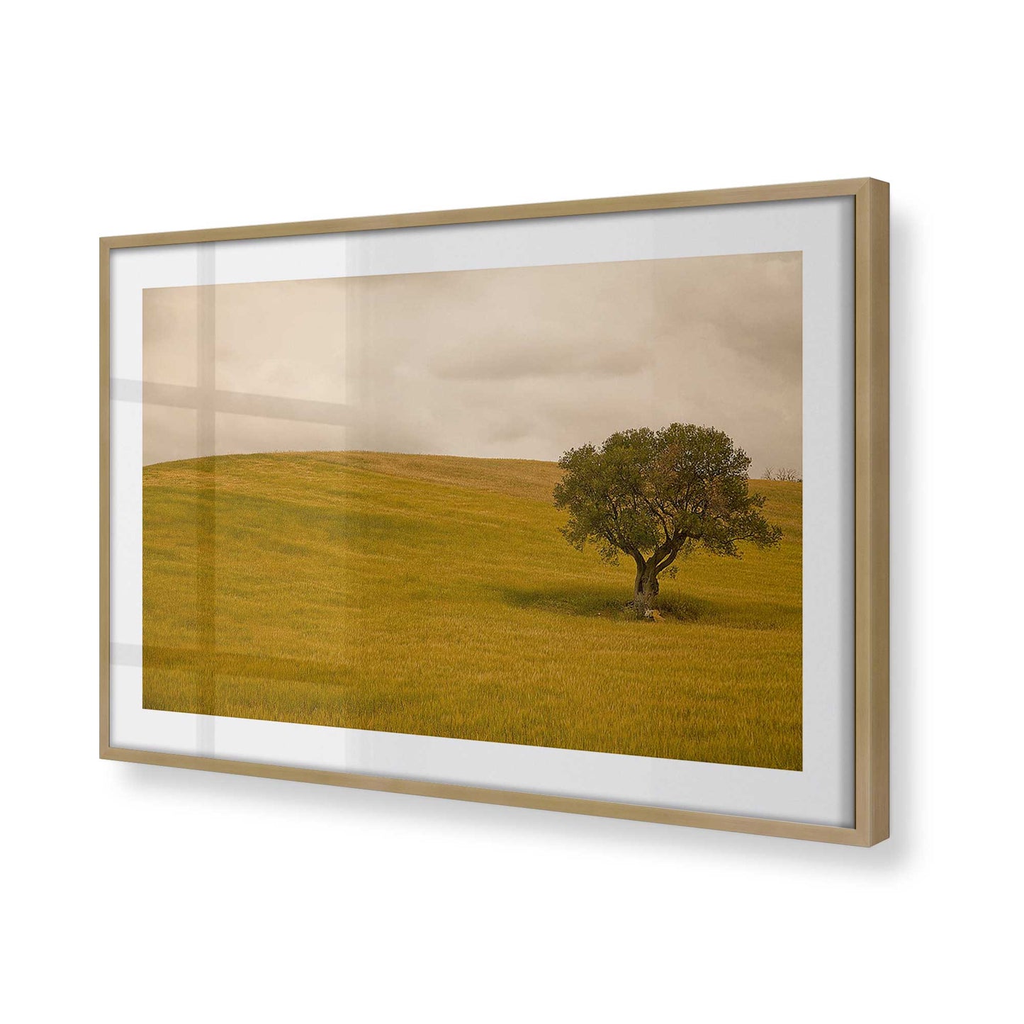 [Color:Brushed Gold], Picture of art in a Brushed Gold frame at an angle