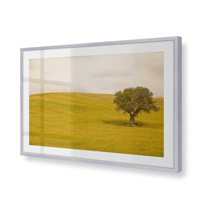 [Color:Polished Chrome], Picture of art in a Polished Chrome frame at an angle