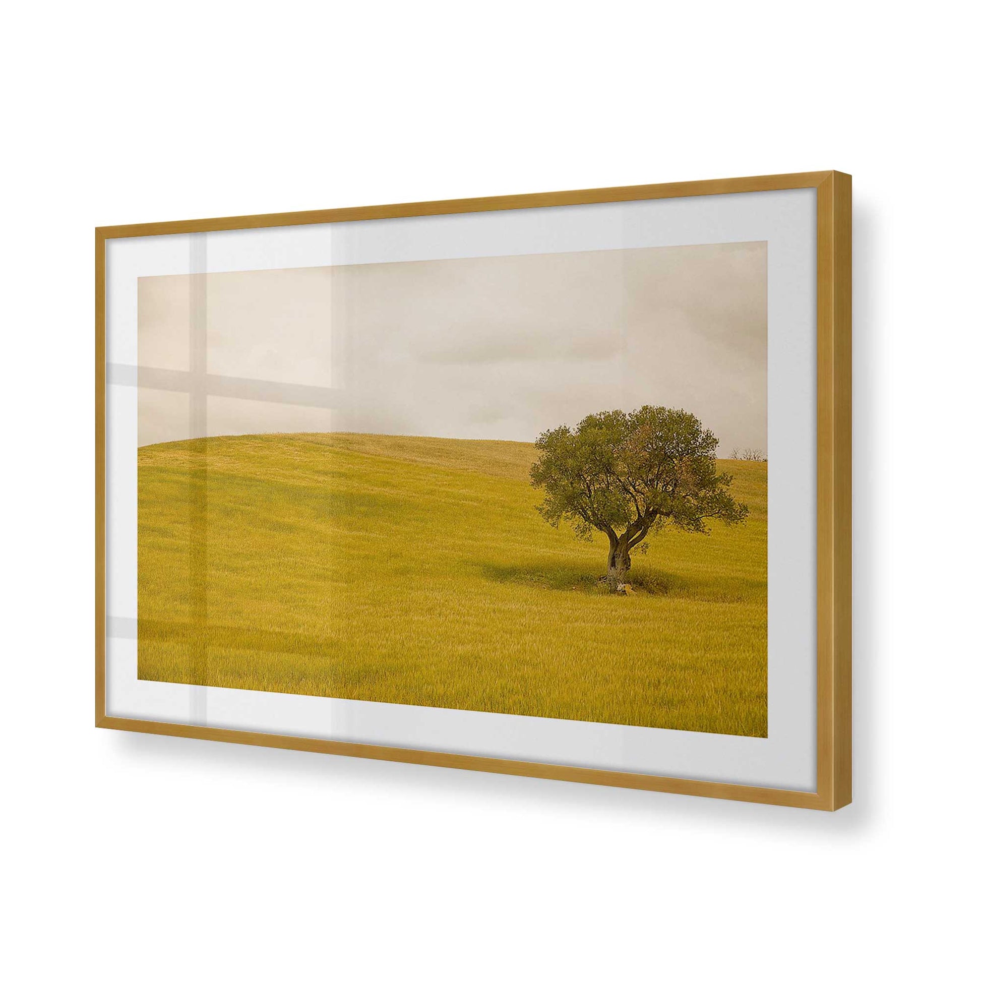 [Color:Polished Gold], Picture of art in a Polished Gold frame at an angle