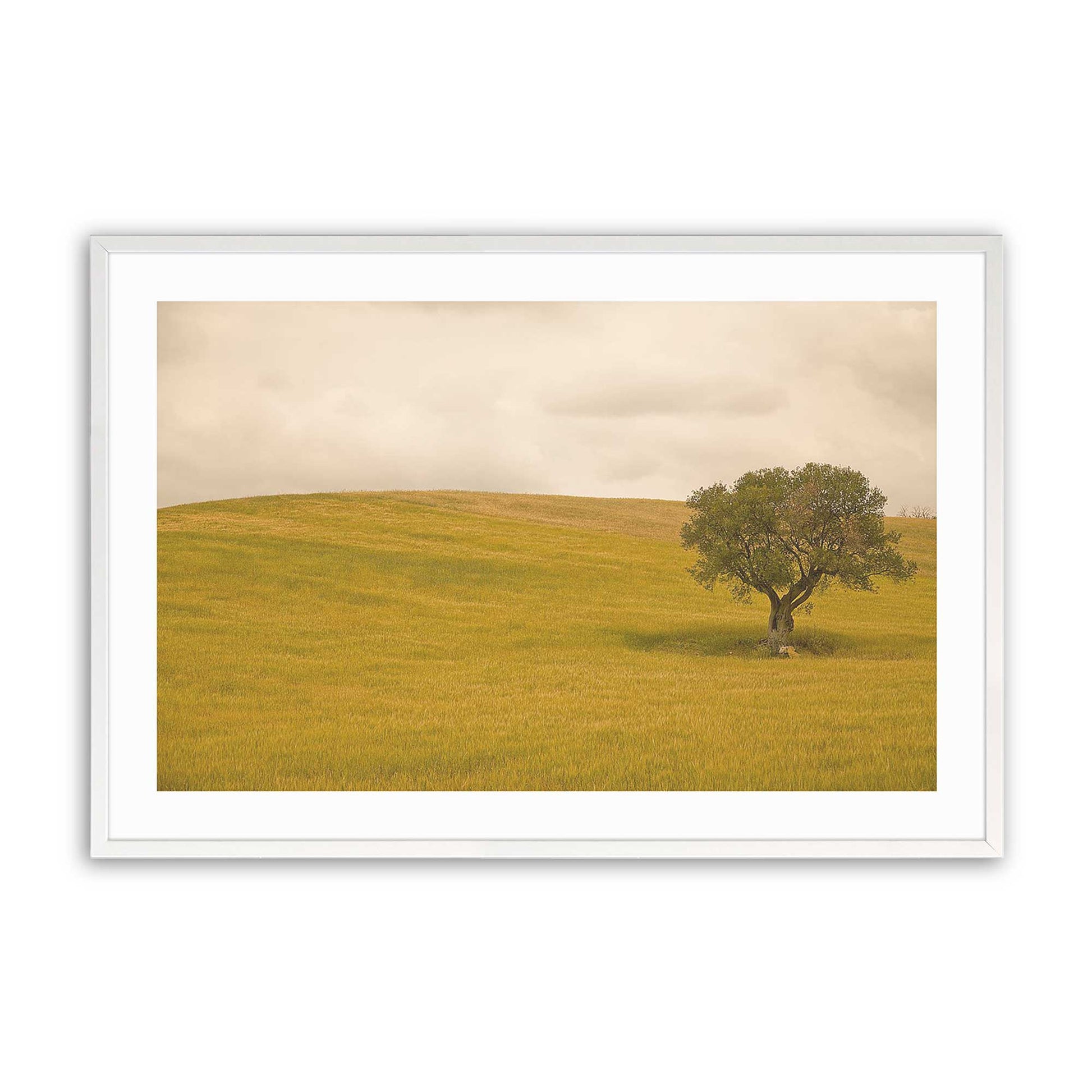 [Color:Opaque White], Picture of art in a Opaque White frame