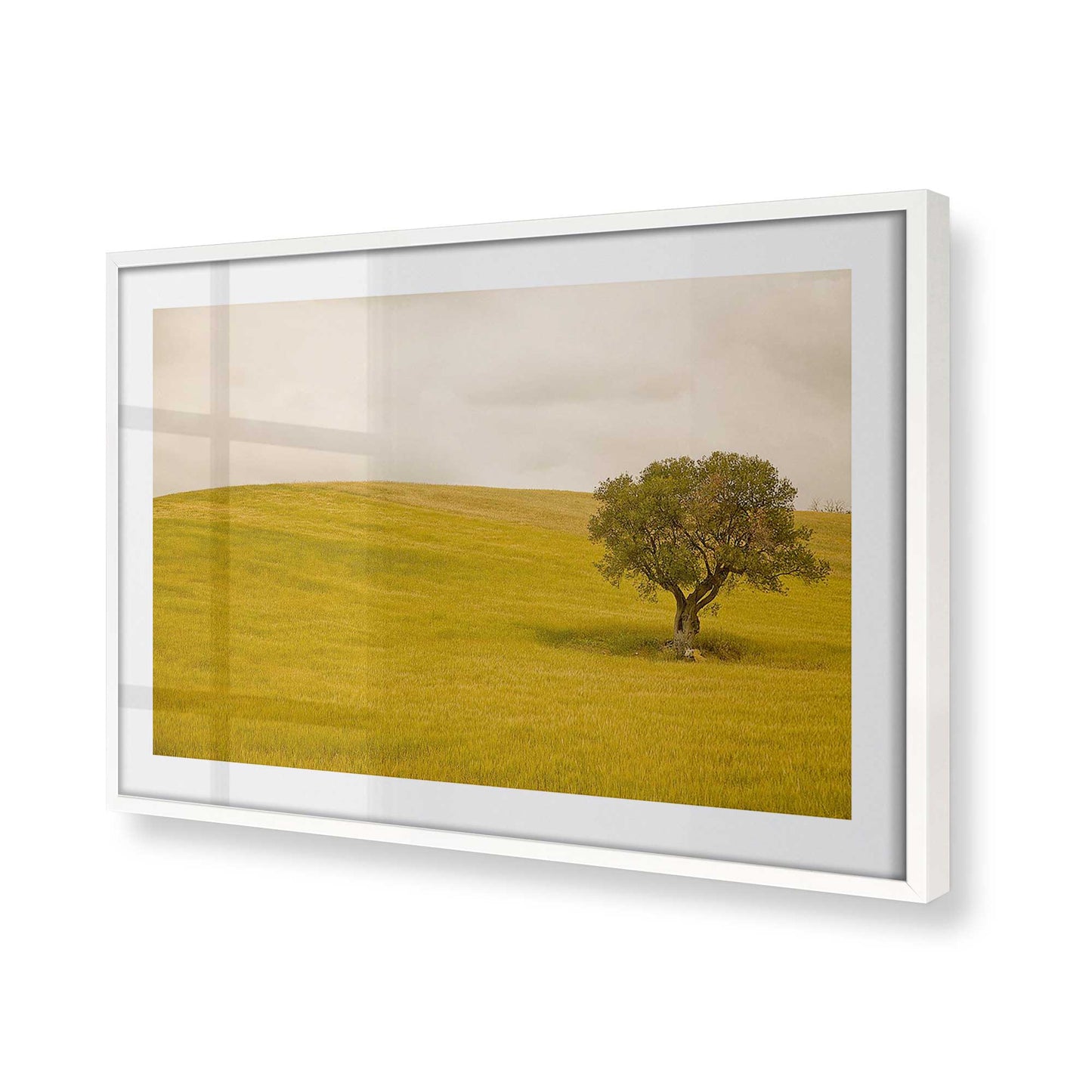 [Color:Opaque White], Picture of art in a Opaque White frame at an angle