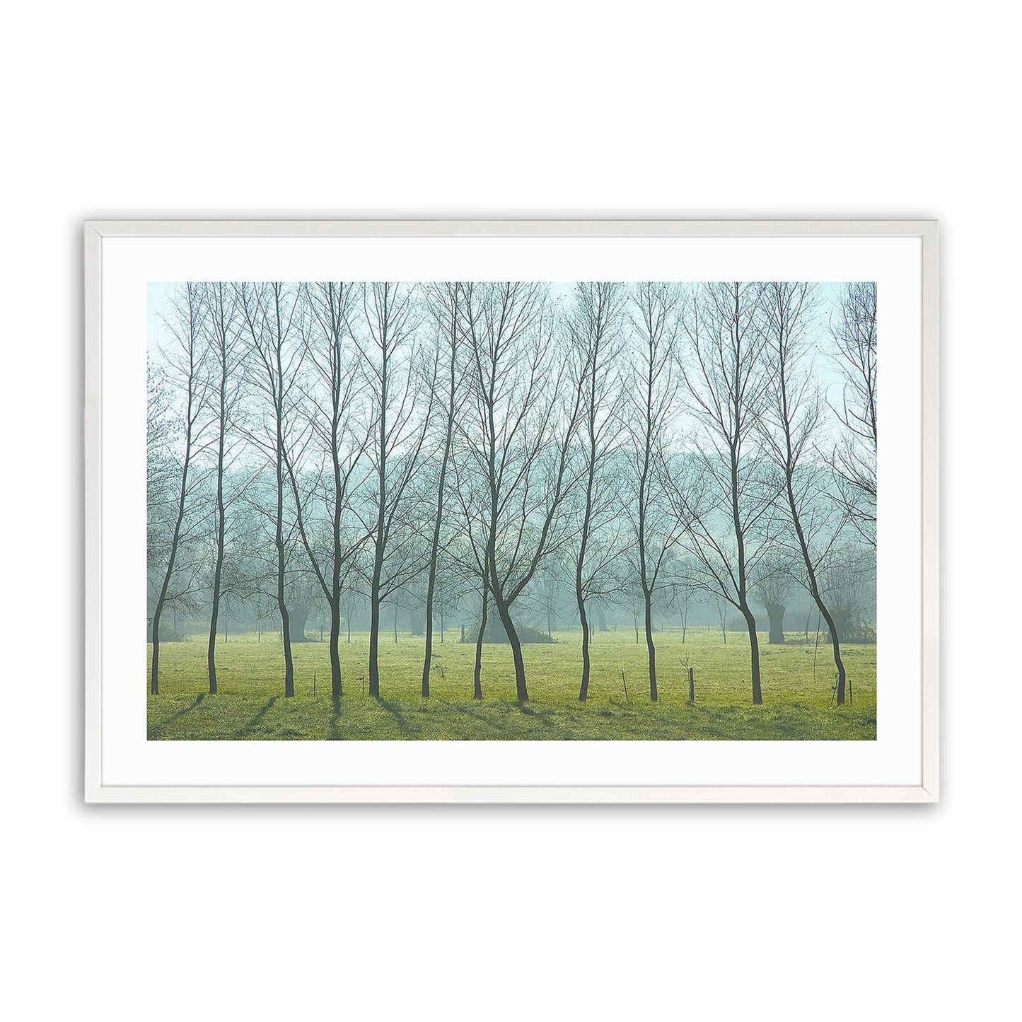 [Color:Opaque White], Picture of art in a Opaque White frame