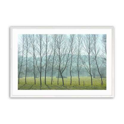 [Color:Opaque White], Picture of art in a Opaque White frame