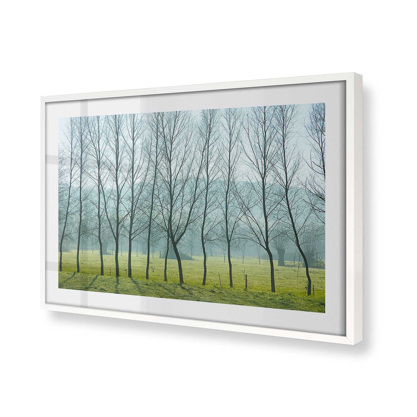 [Color:Opaque White], Picture of art in a Opaque White frame at an angle