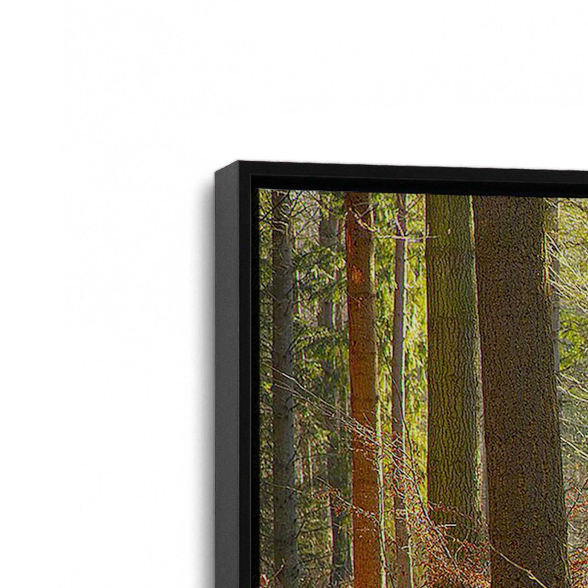 [Color:Satin Black], Picture of art in a Satin Black frame at an angle