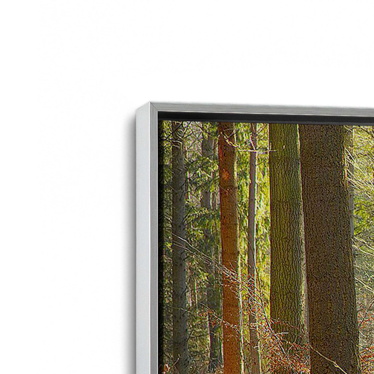 [Color:Polished Chrome], Picture of art in a Polished Chrome frame at an angle