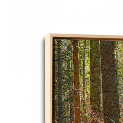 [Color:American Maple], Picture of art in a American Maple frame at an angle