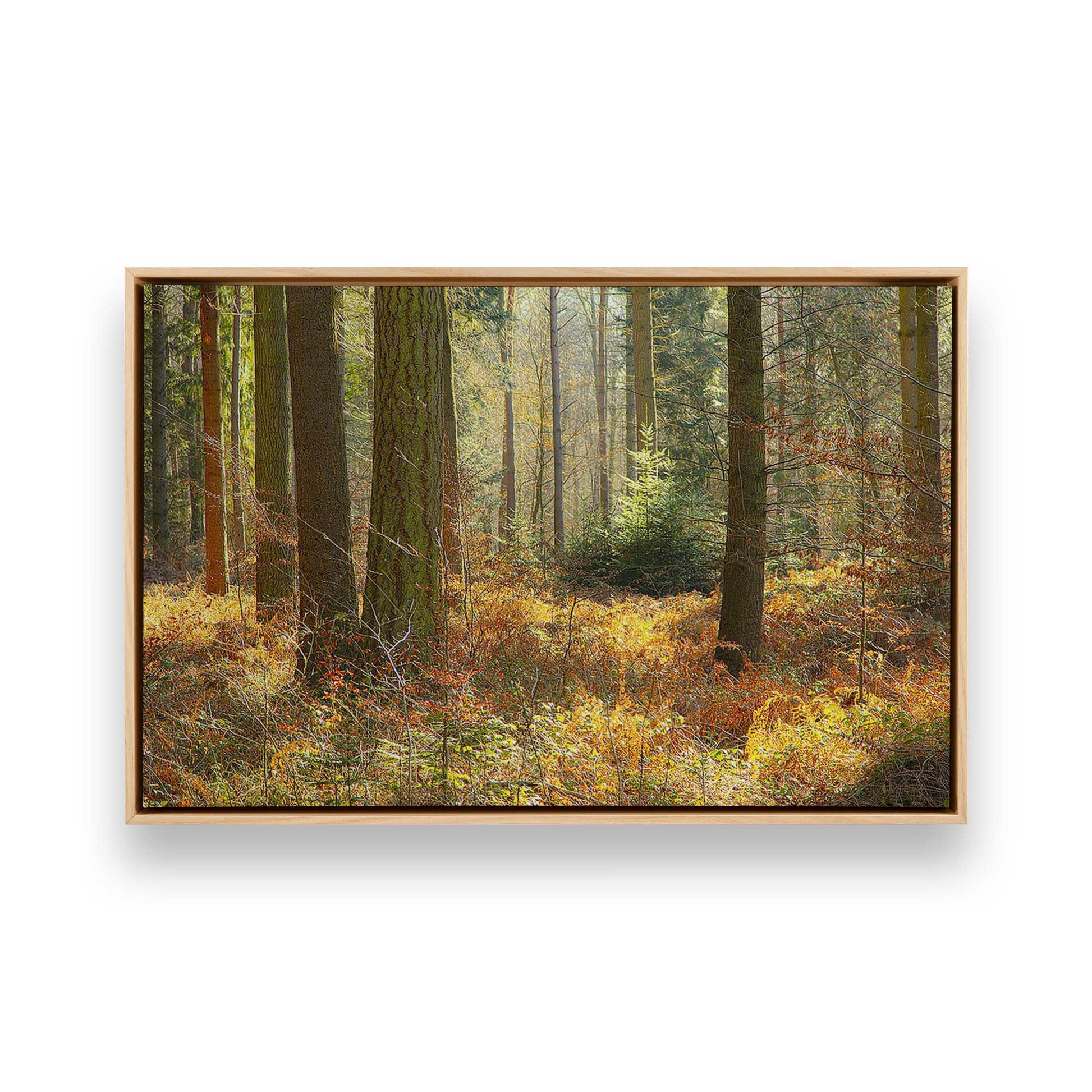 [Color:American Maple], Picture of art in a American Maple frame