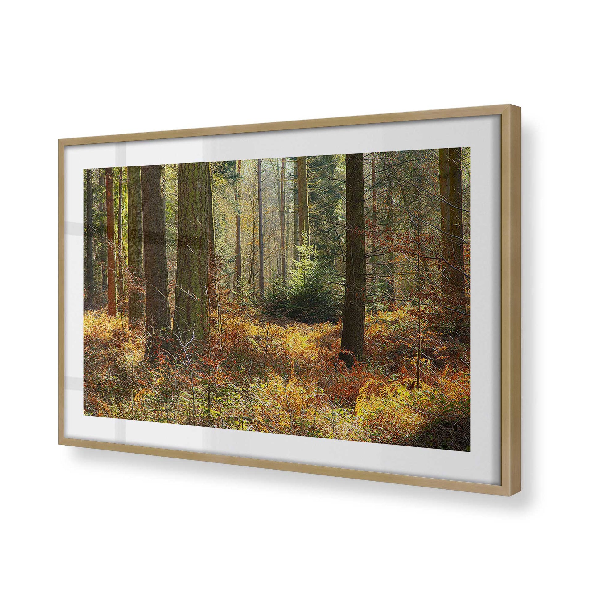 [Color:Brushed Gold], Picture of art in a Brushed Gold frame at an angle