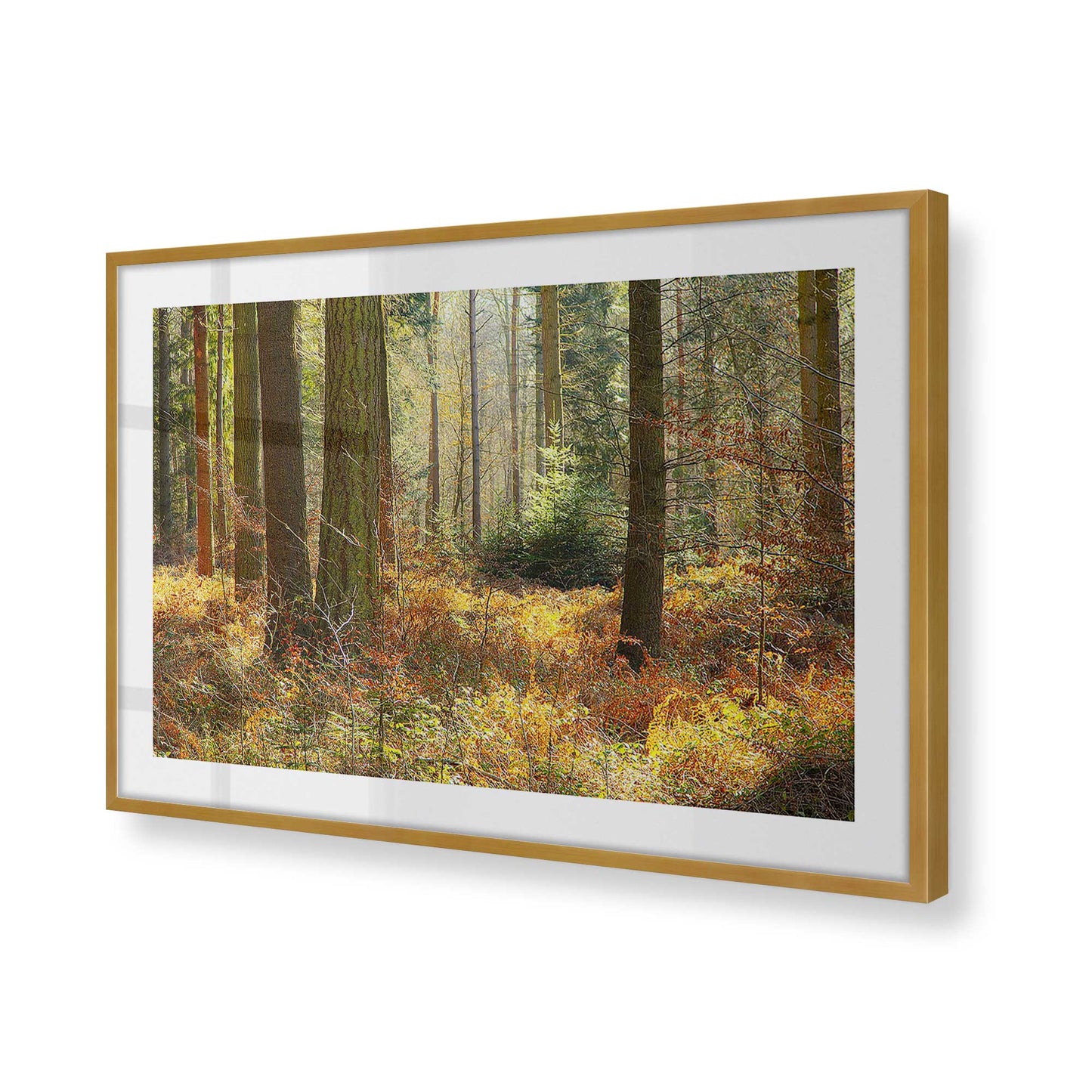 [Color:Polished Gold], Picture of art in a Polished Gold frame at an angle