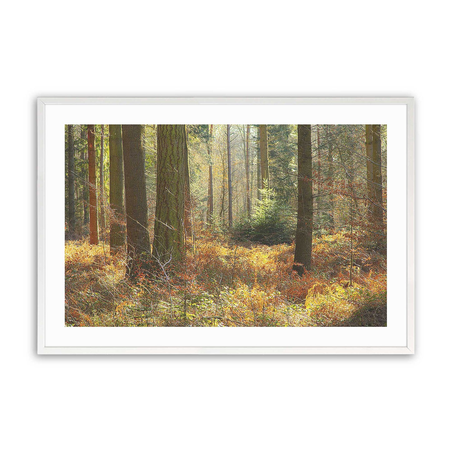 [Color:Opaque White], Picture of art in a Opaque White frame