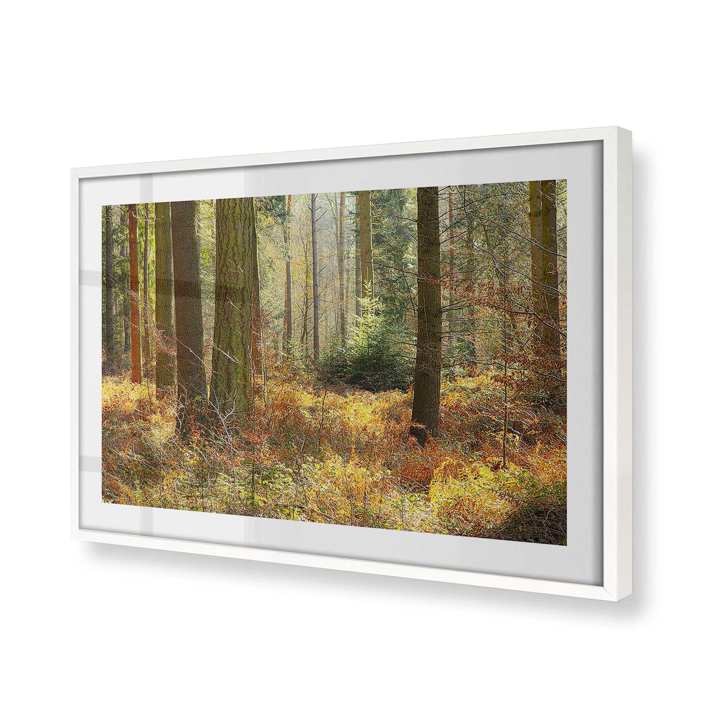 [Color:Opaque White], Picture of art in a Opaque White frame at an angle