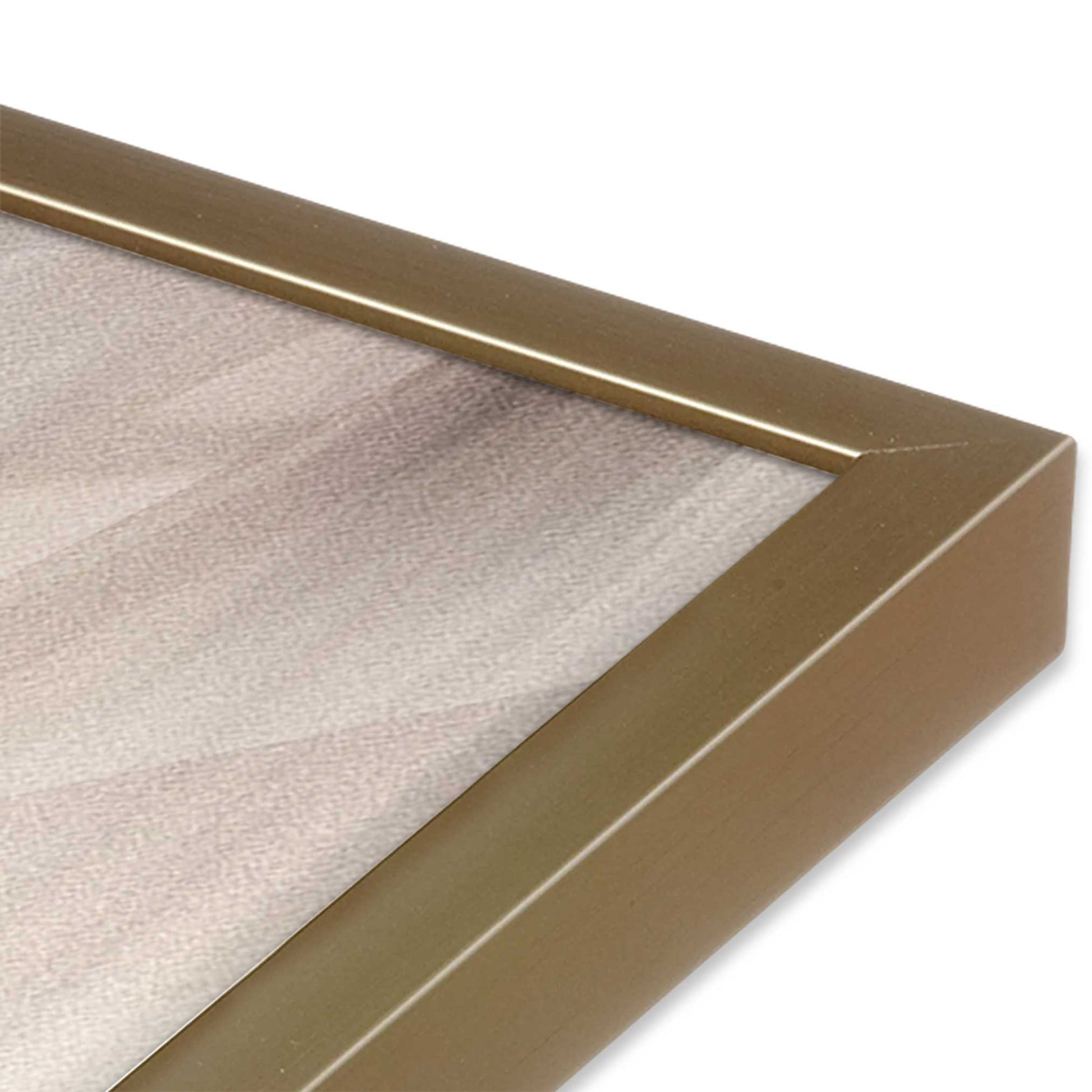 [Color:Brushed Gold], Picture of art in a Brushed Gold frame at an angle