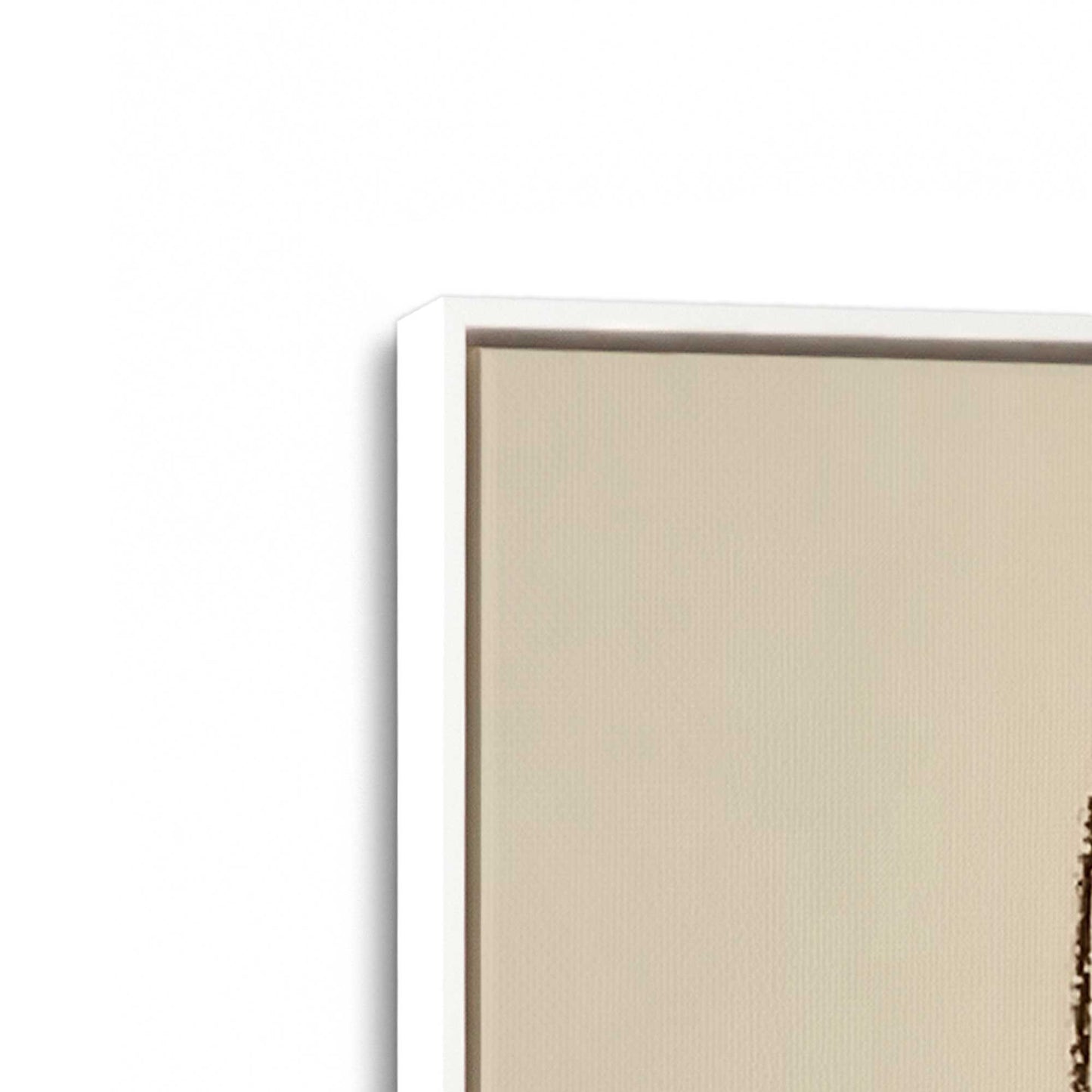 [Color:Opaque White], Picture of art in a White frame at an angle