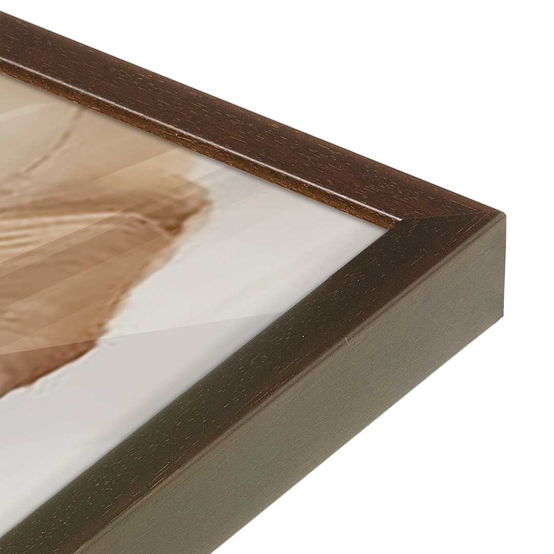 [Color:Belvinder Brown], Picture of art in a Belvinder Brown frame of the corner