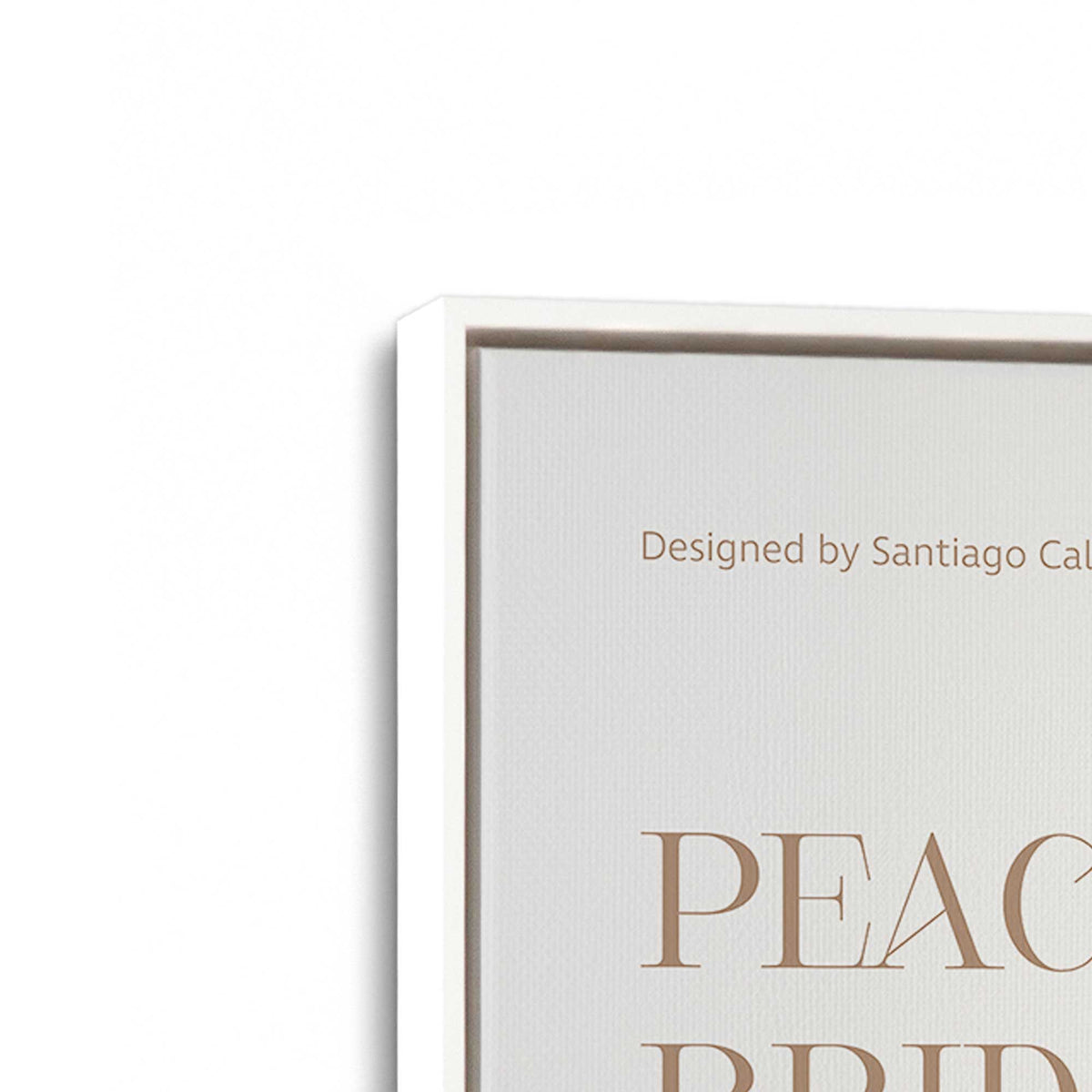 [Color:Opaque White], Picture of art in a White frame at an angle