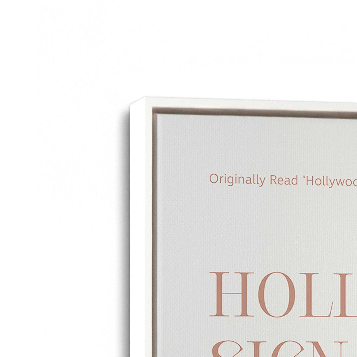 [Color:Opaque White], Picture of art in a White frame at an angle
