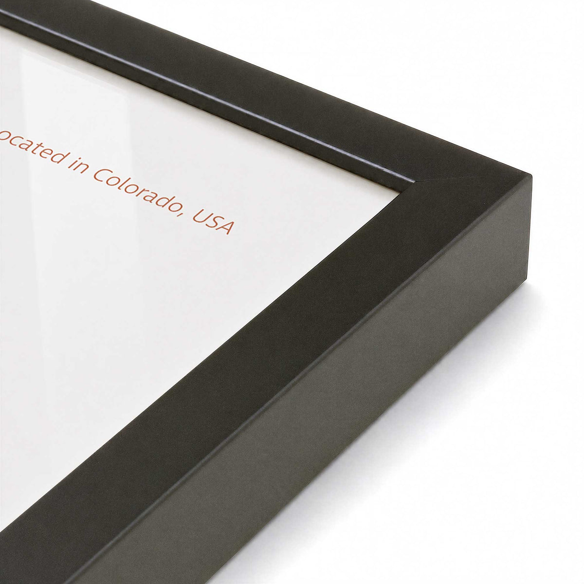 [Color:Satin Black], Picture of art in a Polished Chrome frame at an angle