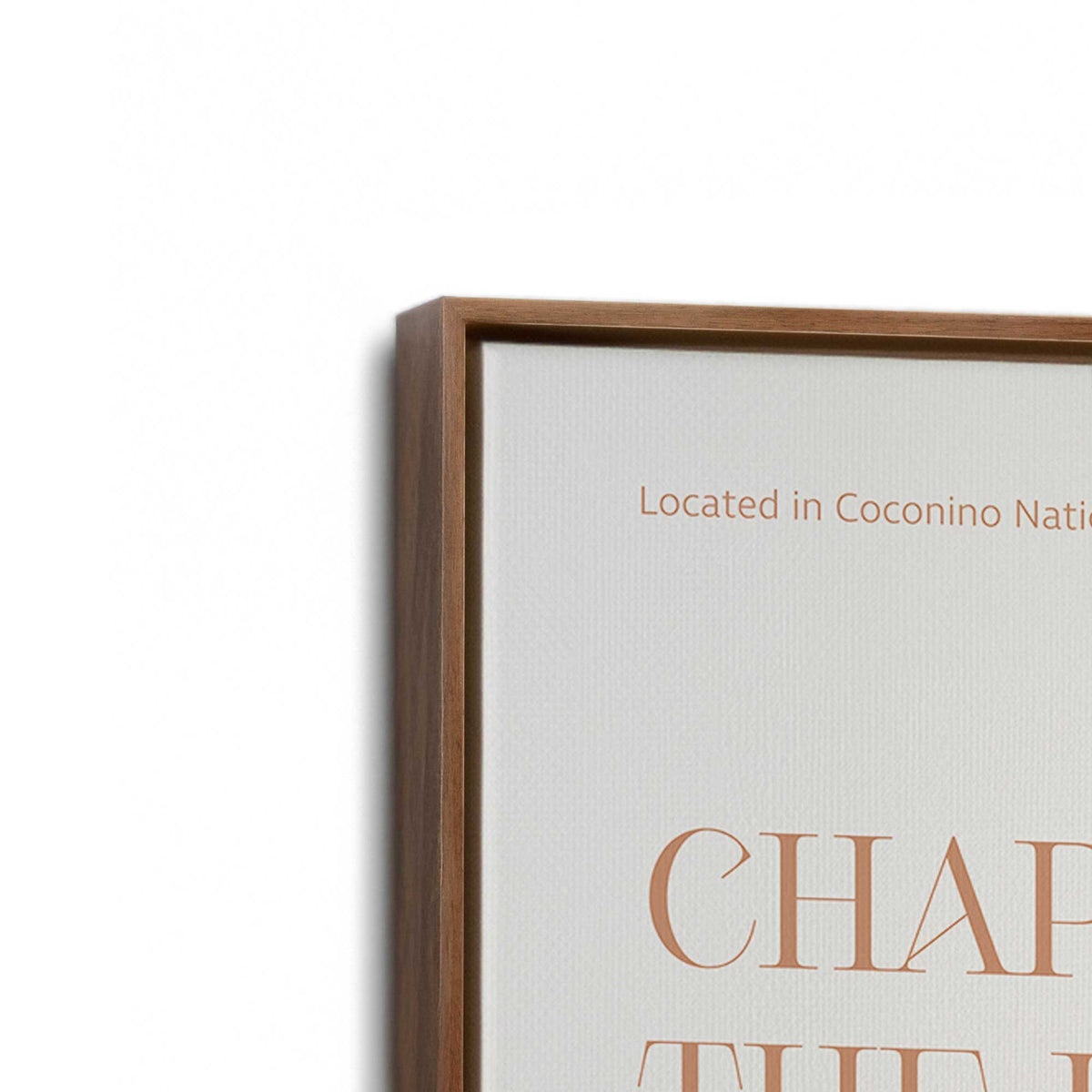 [Color:Walnut], Picture of art in a Walnut frame at an angle