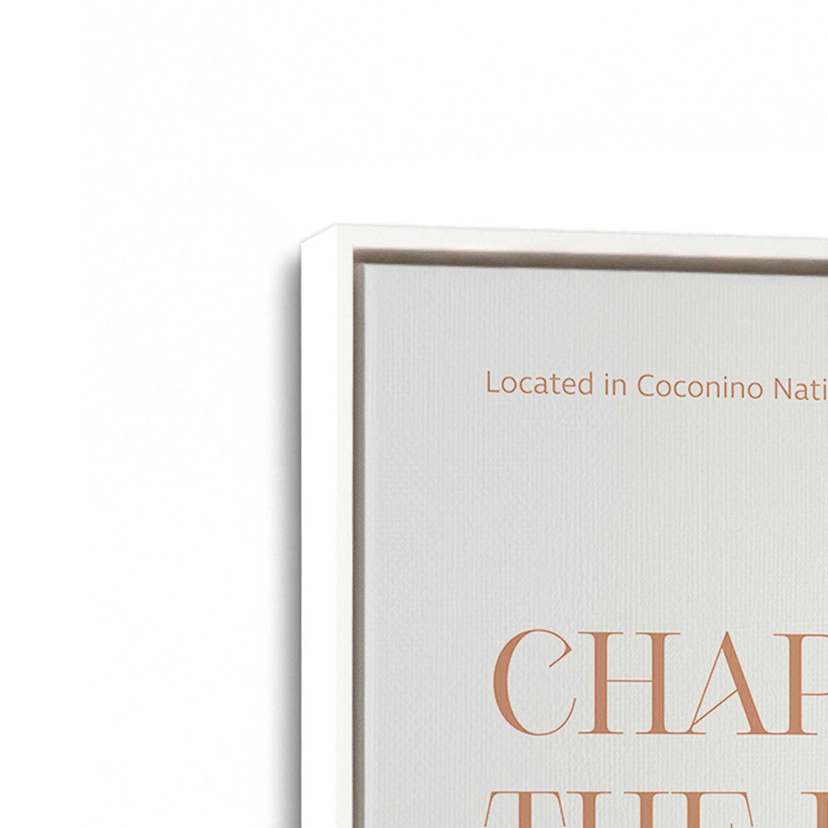 [Color:Opaque White], Picture of art in a White frame at an angle