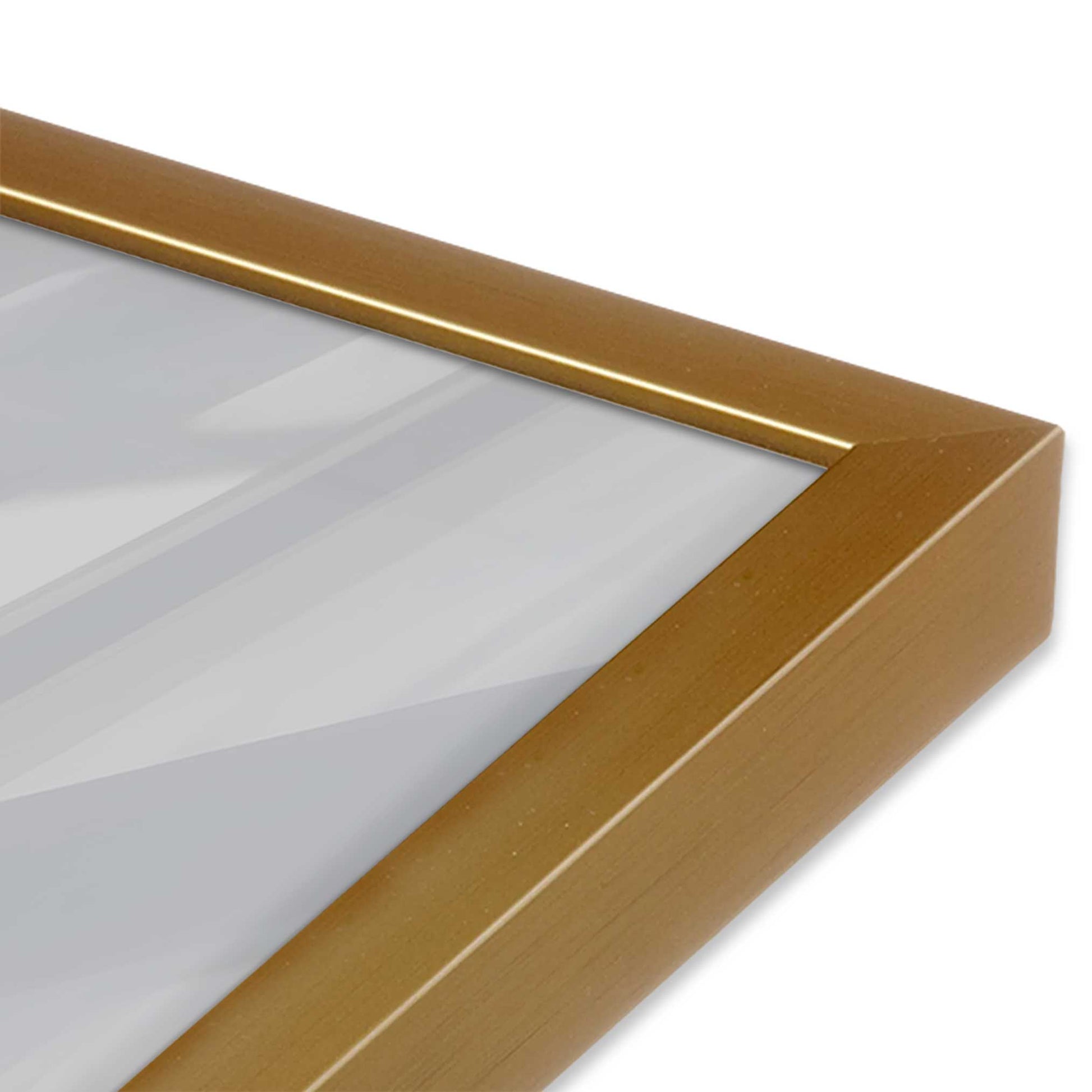 [Color:Polished Gold] Picture of art in a Polished Gold frame of the corner